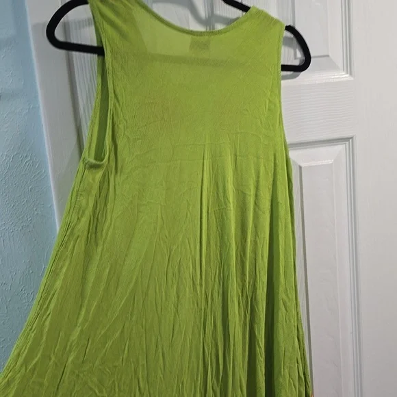 Piel Green Sleeveless Dress with Floral Embroidery - Picture 13 of 13
